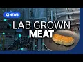 Download Lagu Would you eat lab grown meat? | The Business | ABC NEWS