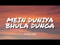 Lagu MEIN DUNIYA BHULA DUNGA - KUMAR SANU || LYRICS ||