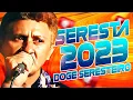 Download Lagu DOGE SERESTEIRO O MELHOR DA SERESTA 2023