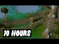 10 Hours of Prifddinas agility OSRS