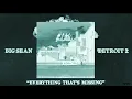Big Sean- Everything That's Missing (feat. Dwele) [Slowed + Reverb]