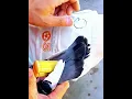 Download Lagu Homing pigeons flying whistle- Good tools and machinery make work easy