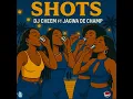 Shots - DJ Cheem