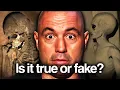 Best Joe Rogan Stories To Fall Asleep To