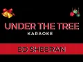 Download Lagu Ed Sheeran - Under the tree (Karaoke) | Instrumental