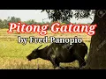 Pitong Gatang by Fred Panopio Lyrics