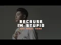 Download Lagu Because I'm Stupid (Mất Em) -  Noo Phước Thịnh「Official Lyrics Video」