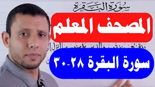 احفظ معنا سورة البقرة الآيات 28 30 
