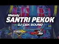 Download Lagu DJ CEK SOUND SANTRI PEKOK