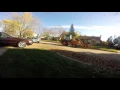 Livonia picking up leaves