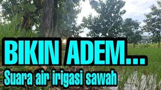 suara terapi air suara air terapi air 2021