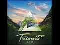 The Morning After (Tritonia 457)