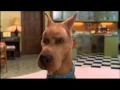 Download Lagu ScoobyDoo PL Najśmieszniejsze Sceny z Filmów xD cz.1