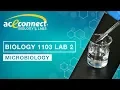 Biology 1103 Lab 2 Microbiology