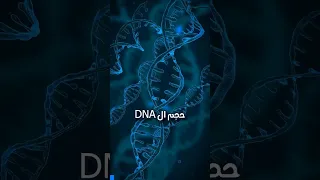 لن تصدق حجم ال     في جسمك     هل تعلم دندنها