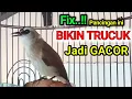 Lagu FIX BIKIN GACOR...PANCINGAN TRUCUK BAHAN trucukan ombyokan agar bunyi gacor