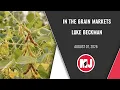 In the Grain Markets Luke Beckman August 07 2026