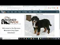 GoToMeeting Test