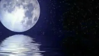 عادل خضور لو تعرفي يم القلب قاسي دندنها