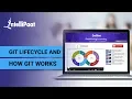 What is Git Git Lifecycle How Git Works Git Tutorial For Beginners Intellipaat