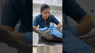 الحمدلله زورو منيح تفاصيل العملية نزلت كاملة فوتتوا حضروها 