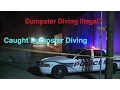 Is Dumpster Diving Illegal Truth About Dumpster Diving