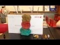 Class Fossil Lab - Directions