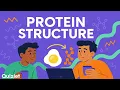 Protein Structure Overview Biology Amino Acids Folding and Function Explained
