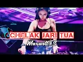 Download Lagu DJ CHELAK JARI TUA (MAXWELL F.S) LAGU IBAN VERSI REMIX 2025