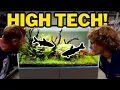 Crazy colourful high tech aquascape for RARE and expensive fish Aquarium setup