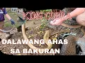 Download Lagu MALIKSING BANAKON NAKIPAG HABULAN#kingcobra #atecobra #cobraking #cobraprince #tolcobra 