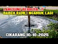 Download Lagu Update HARI KE2 TEMPAT BARU BABEH RAMLI‼️ MONSTER HIJAU KEMBALI DIANGKAT babeh ramli