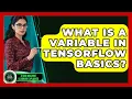 What Is A Variable In TensorFlow Basics - AI and Machine Learning Explained