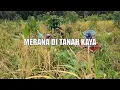 Download Lagu [VOLLEDIG] LIJDEN IN HET LAND VAN DE RIJKEN | MIJN INDONESIA (21/01/25)