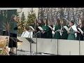 Salvatorul din cer a venit