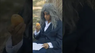 What If Newton Ate The Apple Highschool Mohammad Reza Physics 