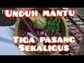 SROKAL TEMU MANTEN UNDUH MANTU TIGA PASANG SEKALIGUS