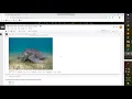 NeuralStyle real