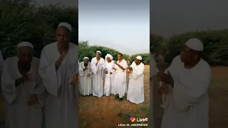 تراث الكبابيش 