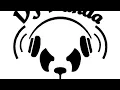 Ayy Ladies ( Dj Panda Hype Intro ) - Travis Porter Ft. Tyga - (Dirty)