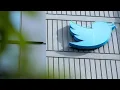 Twitter down globally as thousands of users complain of issues with microblogging website app