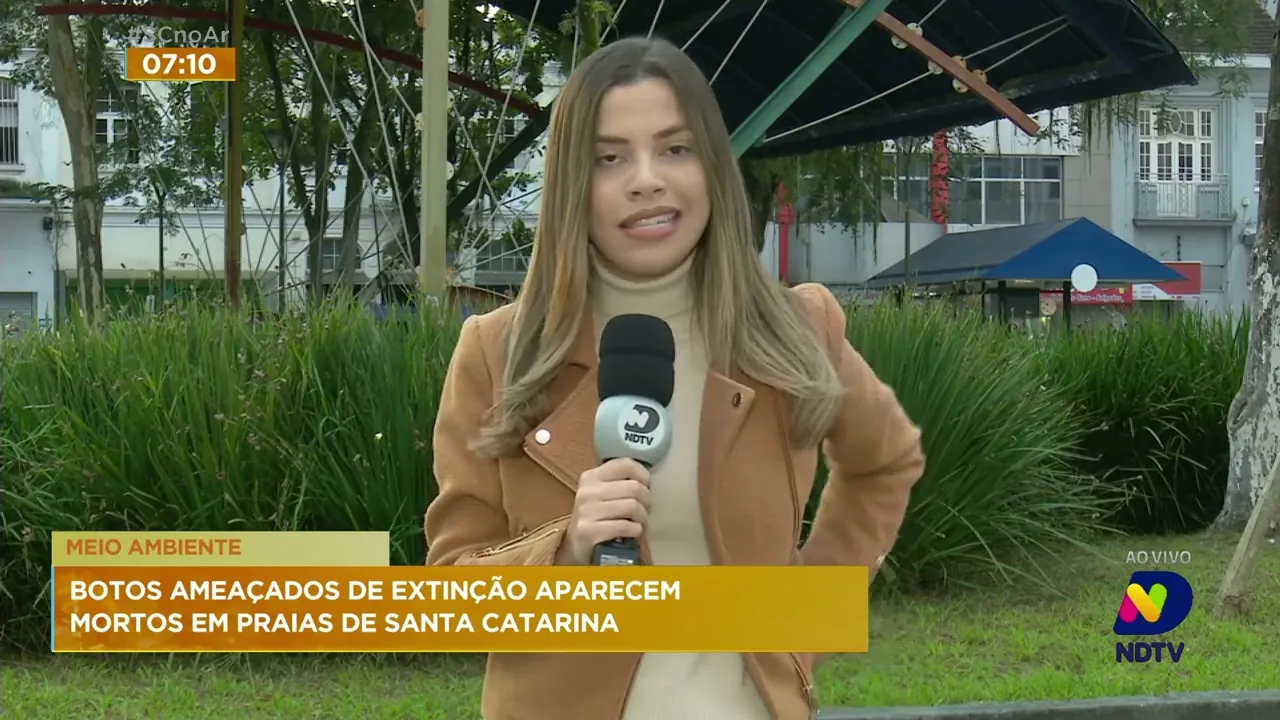 Mais dois botos ameaçados de extinção são encontrados mortos em praias da região Norte de SC