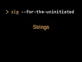 Zig for the Uninitiated Strings