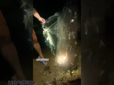 ອາຫານແລງ