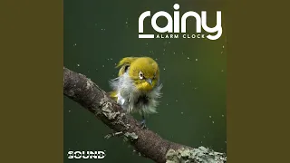 rain ringtone