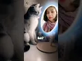 Download Lagu #shorts #meong Semoga anda menikmati momen  ini! https://sck.io/p/2LbkBfNt