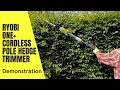 Hedge Trimming Made Easy Demonstrating the Ryobi One Cordless Pole Hedge Trimmer