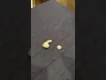 AirPod Pro Tip Replacement Struggle