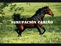 -Espero que te acuerdes de mi - Agrupación Cariño - Soy tu Fan Chango