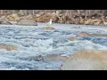 Camp James on the Kern